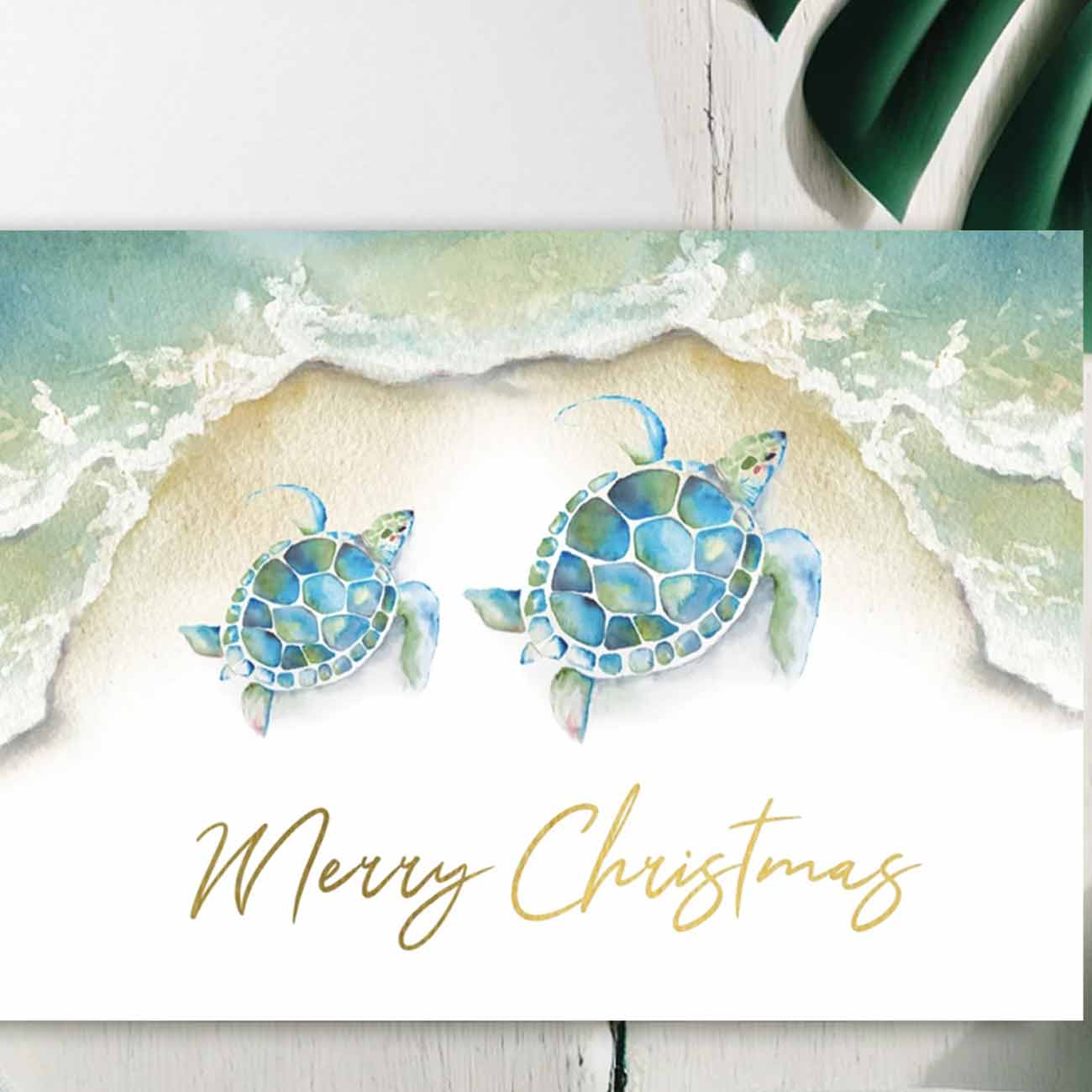 watercolor sea turtle Christmas cards zoomed